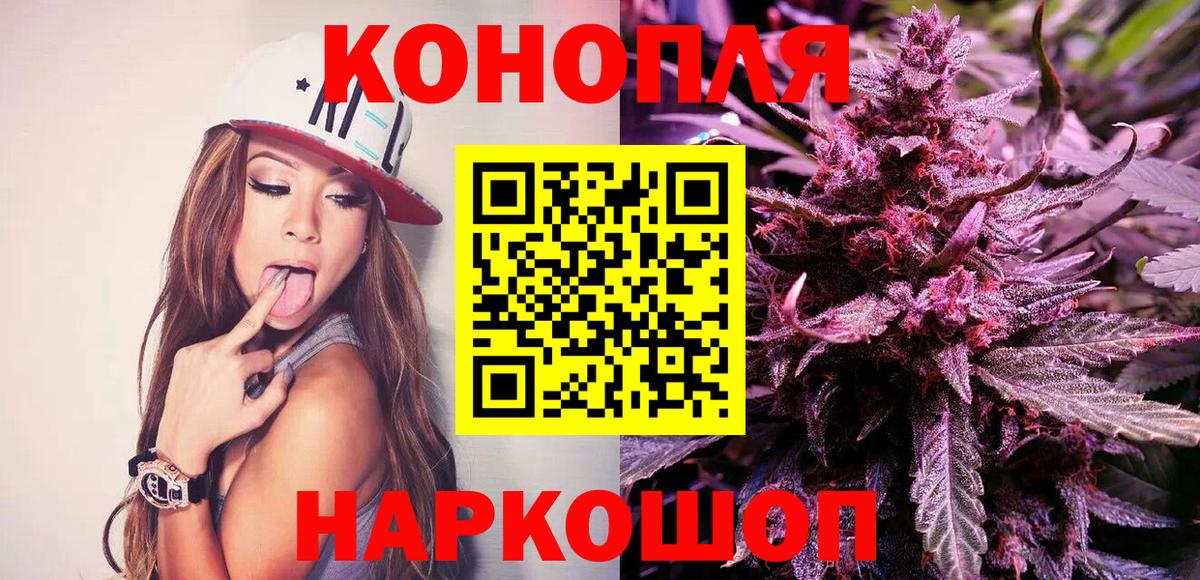 Бошки Шишки конопля Нововоронеж